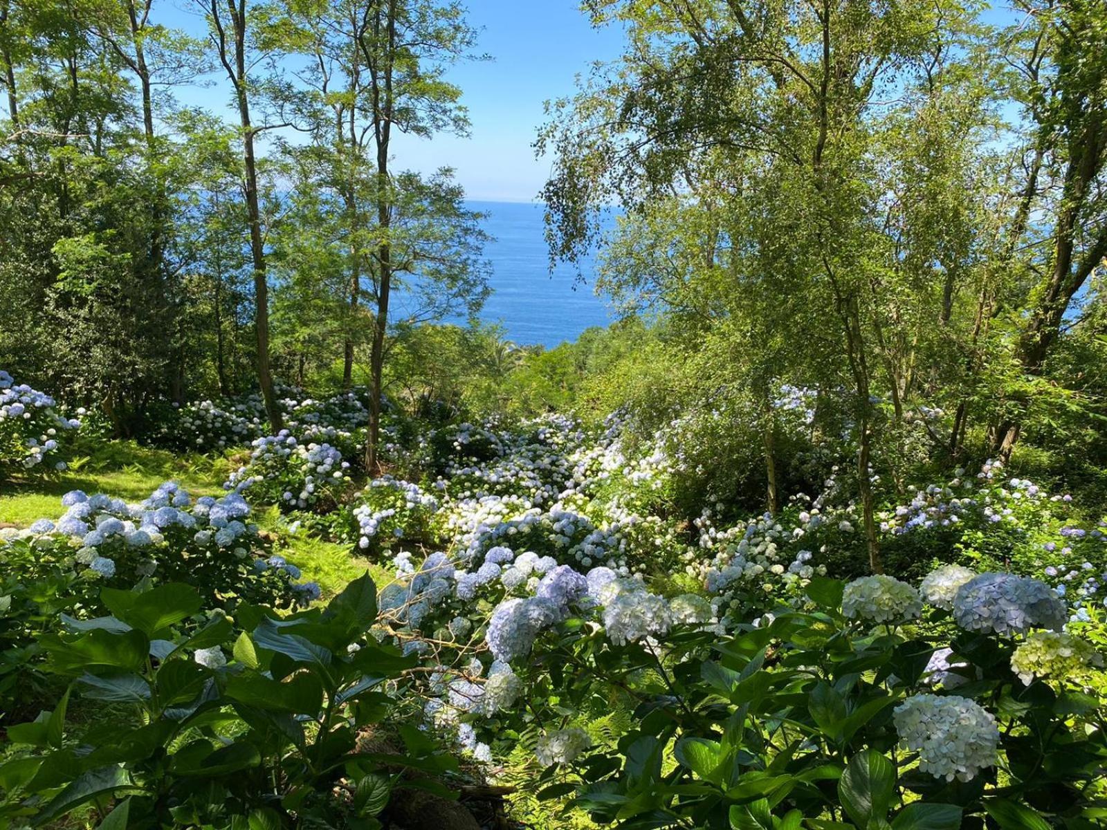 Apartamentos Mar Y Mar Agroturismo 산세바스티안 외부 사진